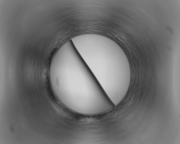 X0000114100503200910051233