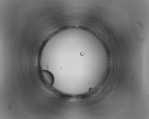 X0000114100504200910051233