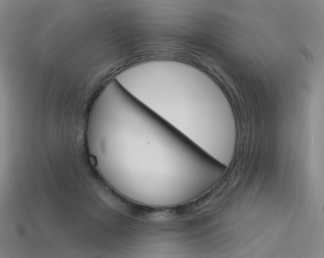 X0000114100505200910051233