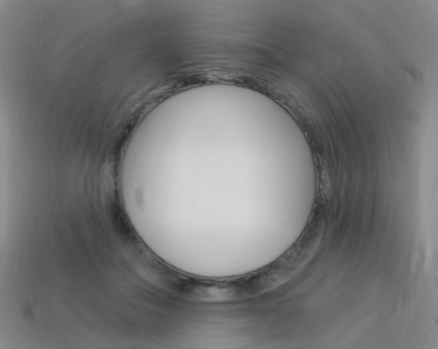 X0000114100506200910051233