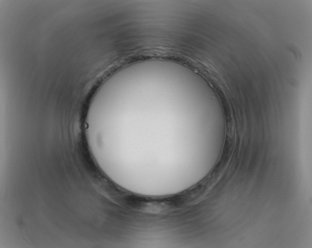 X0000114100508200910051233