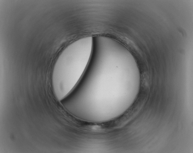 X0000114100509200910051233