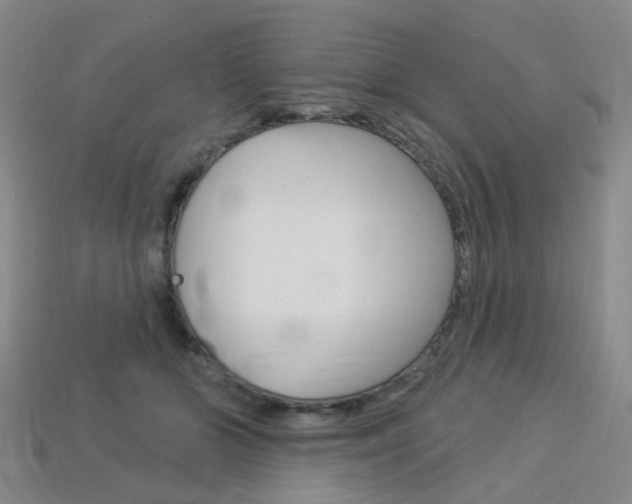 X0000114100510200910051233