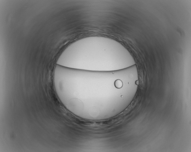 X0000114100511200910051233