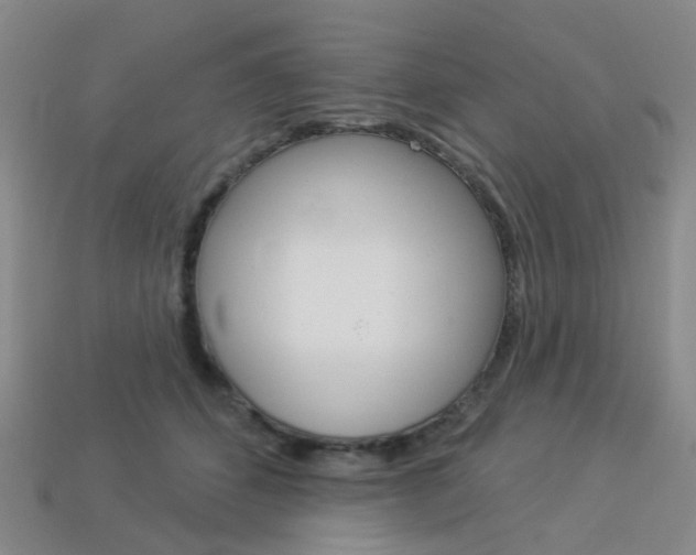 X0000114100512200910051233