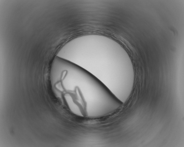 X0000114100513200910051233