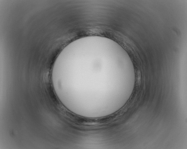 X0000114100514200910051233