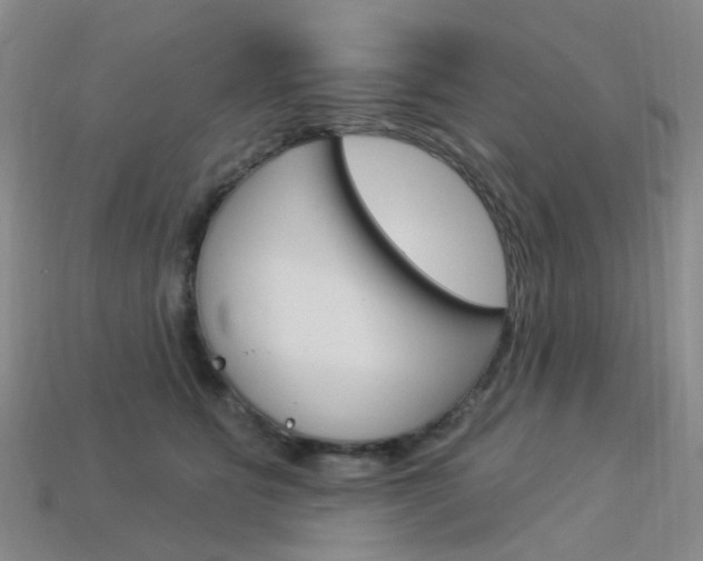 X0000114100515200910051233