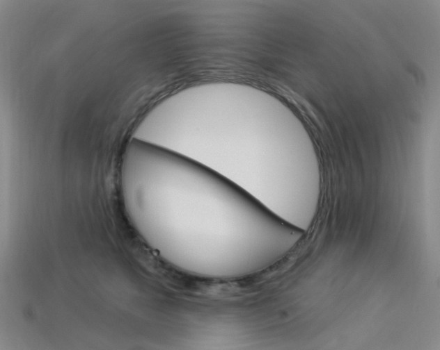 X0000114100517200910051233