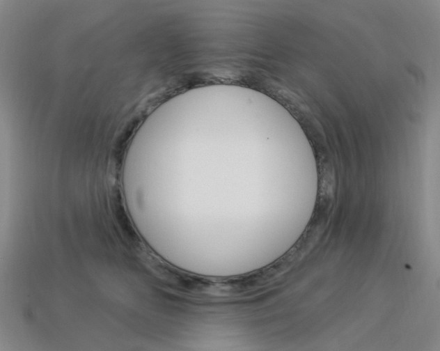 X0000114100518200910051233