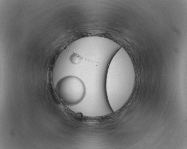 X0000114100519200910051233