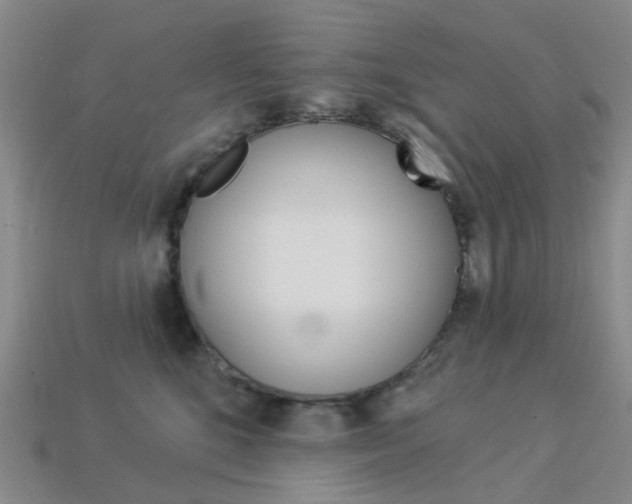 X0000114100520200910051233