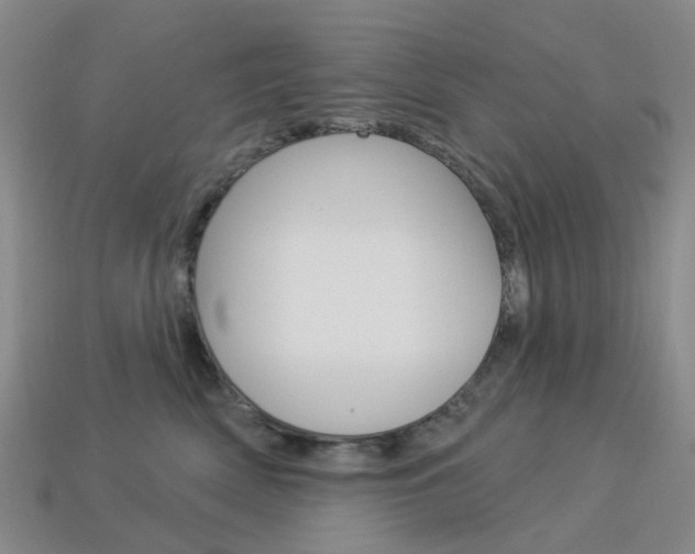 X0000114100522200910051233