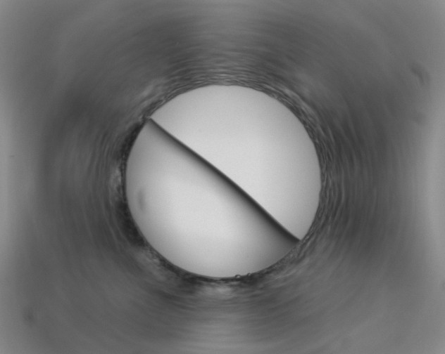 X0000114100523200910051233