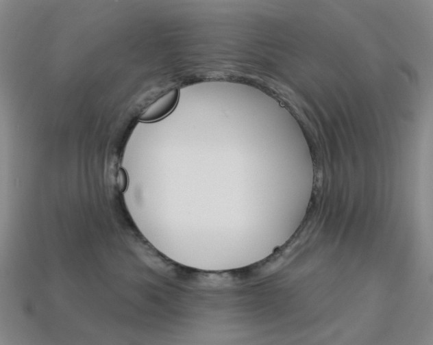 X0000114100525200910051233