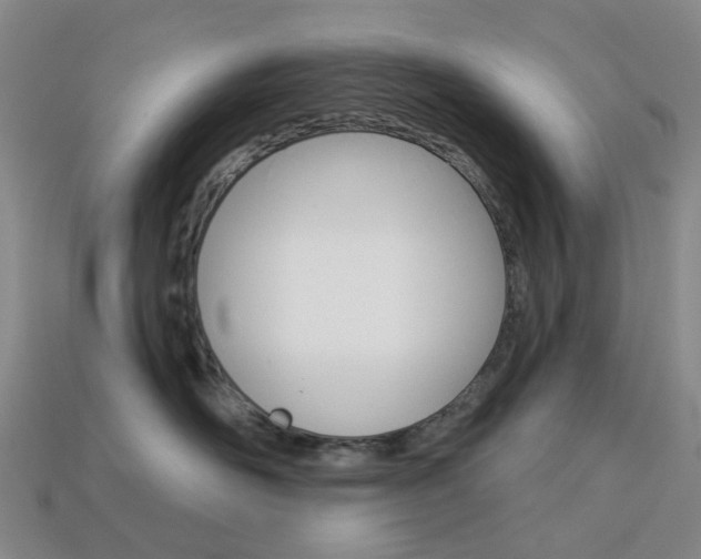 X0000114100526200910051233