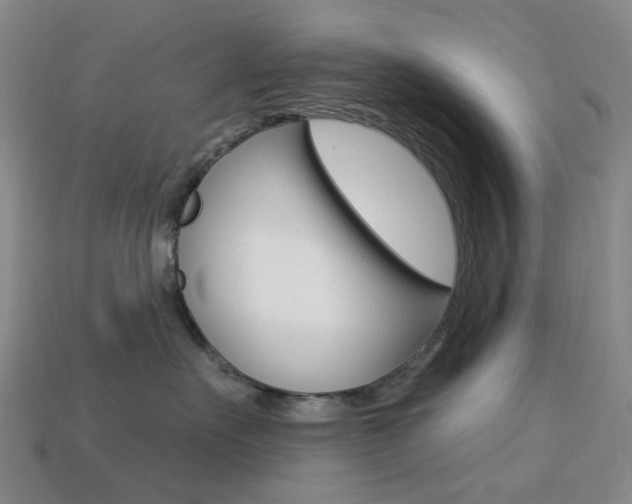 X0000114100527200910051233