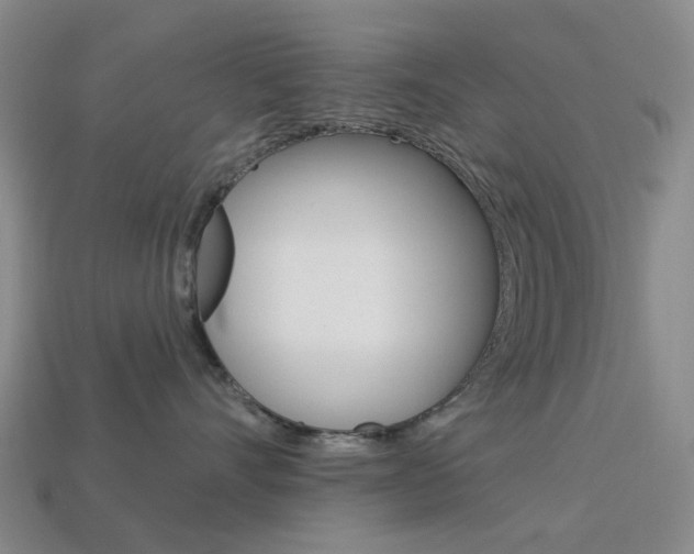 X0000114100528200910051233