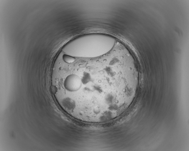 X0000114100529200910051232