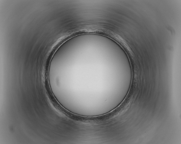 X0000114100530200910051232