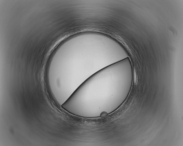 X0000114100531200910051232