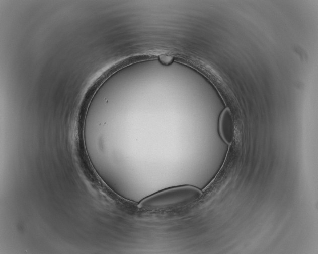 X0000114100532200910051232