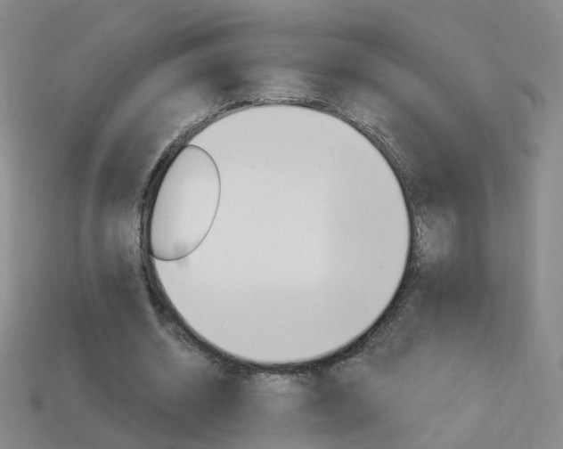 X0000114100534200910051232