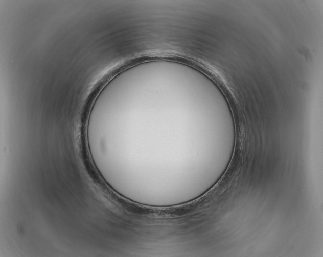 X0000114100535200910051232