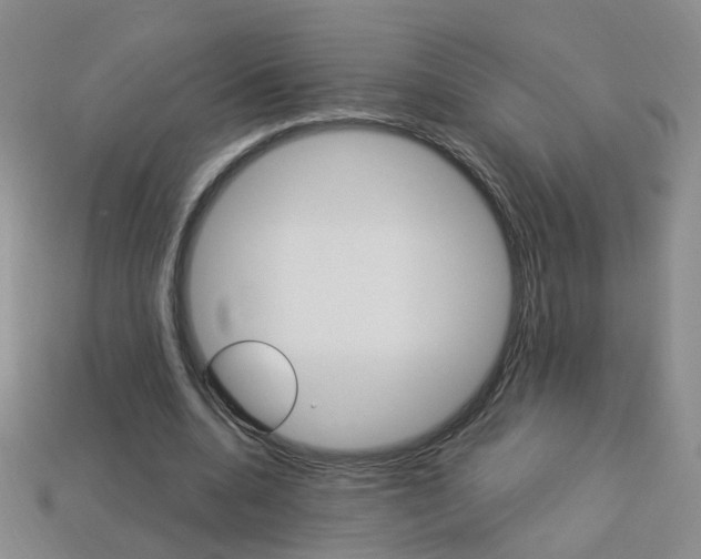 X0000114100536200910051232