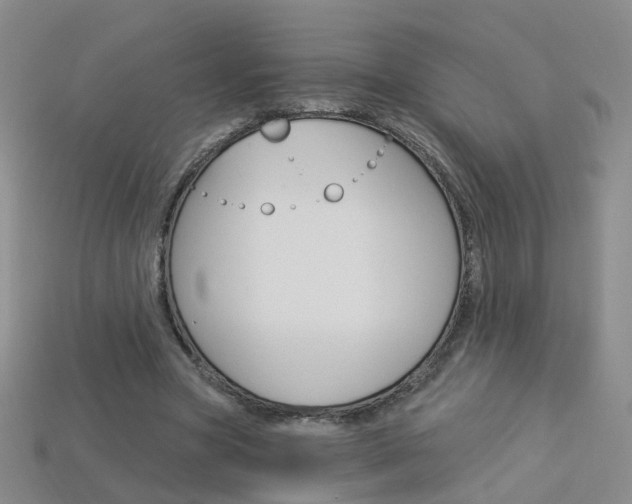 X0000114100537200910051232