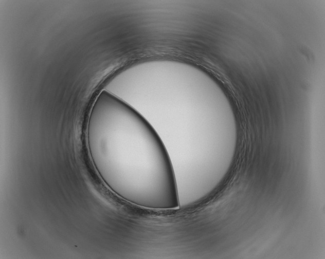 X0000114100538200910051232