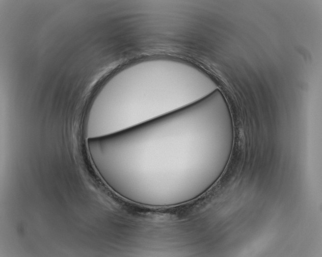 X0000114100539200910051232