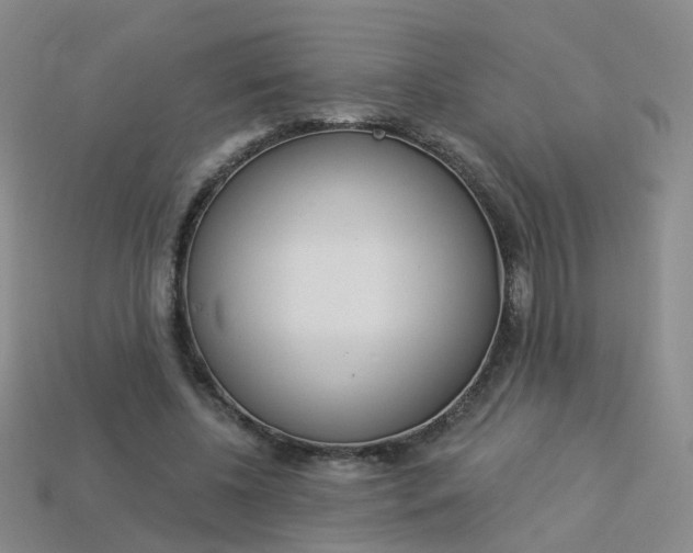 X0000114100540200910051232