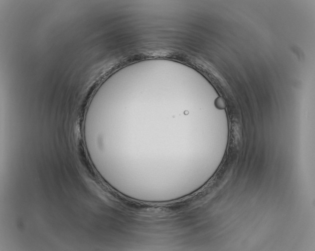 X0000114100541200910051232