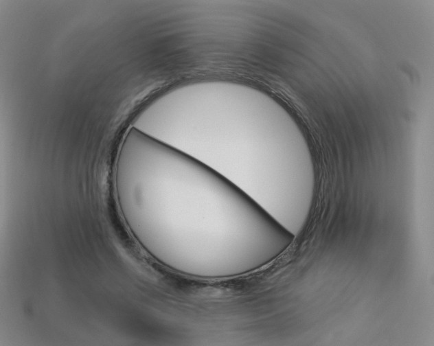 X0000114100542200910051232