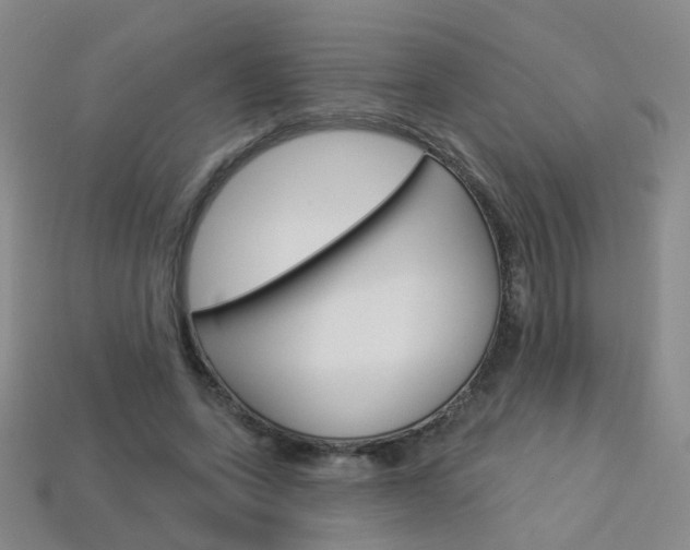 X0000114100543200910051232