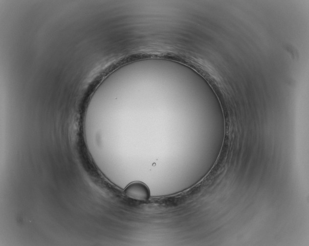 X0000114100544200910051232