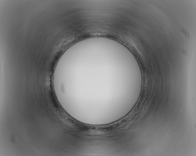 X0000114100545200910051232