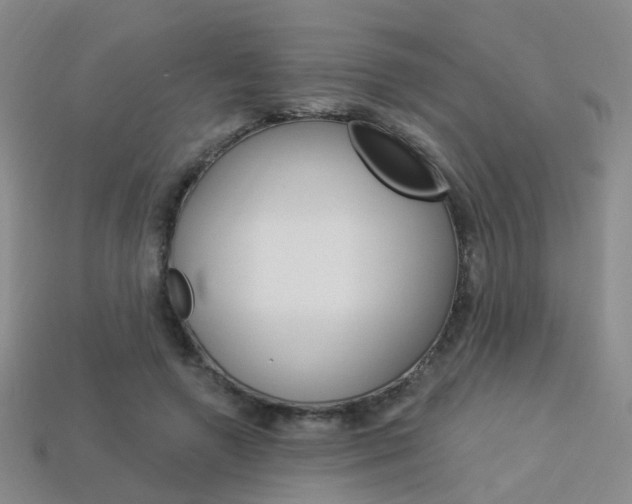 X0000114100546200910051232