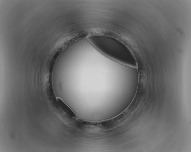 X0000114100548200910051232