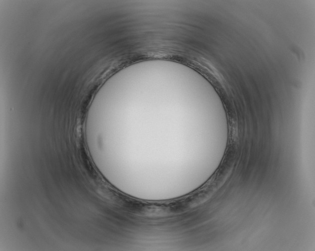 X0000114100549200910051233