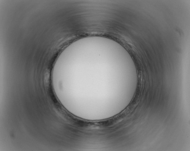 X0000114100550200910051233