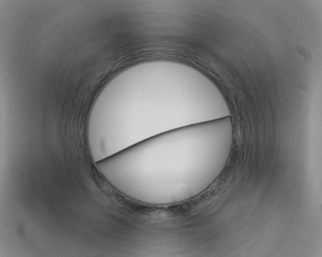 X0000114100551200910051233