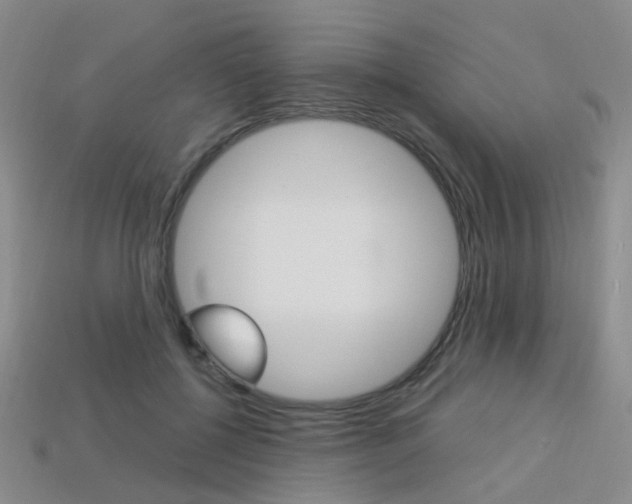 X0000114100552200910051233