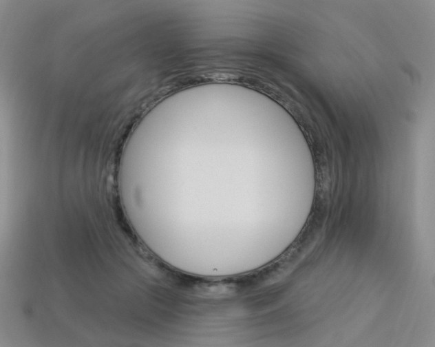 X0000114100553200910051233