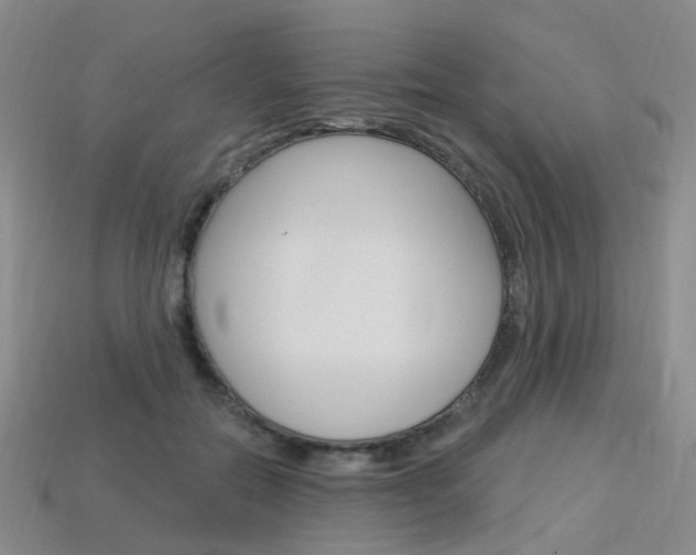 X0000114100554200910051233