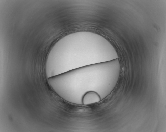 X0000114100555200910051233