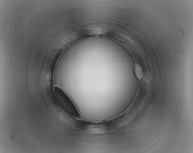 X0000114100556200910051233