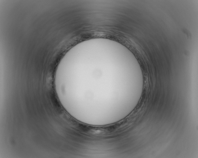 X0000114100557200910051233