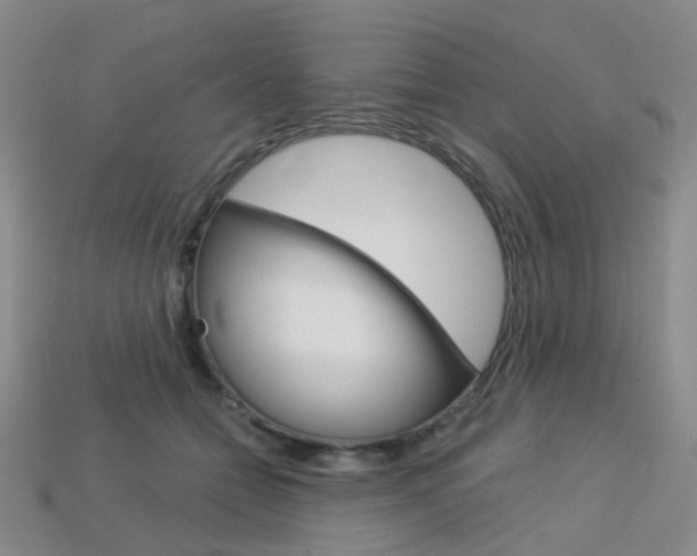 X0000114100558200910051233